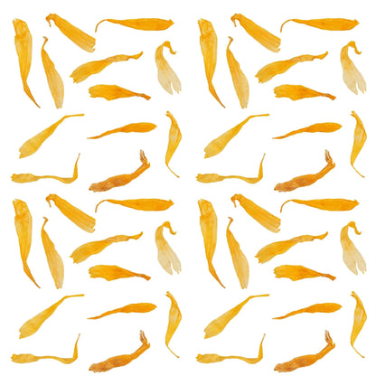 Nagietek suszony jadalny czyste płatki nagietka do pączków ciast