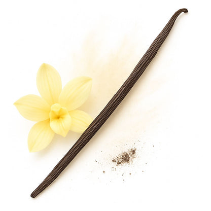 Wanilia laska 14-16 cm 1 szt. Wanilia Bourbon Madagaskar jakość pakowane próżniowo