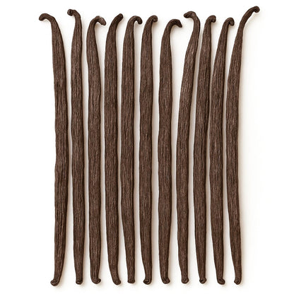 Wanilia laska 14-16 cm 1 szt. Wanilia Bourbon Madagaskar jakość pakowane próżniowo